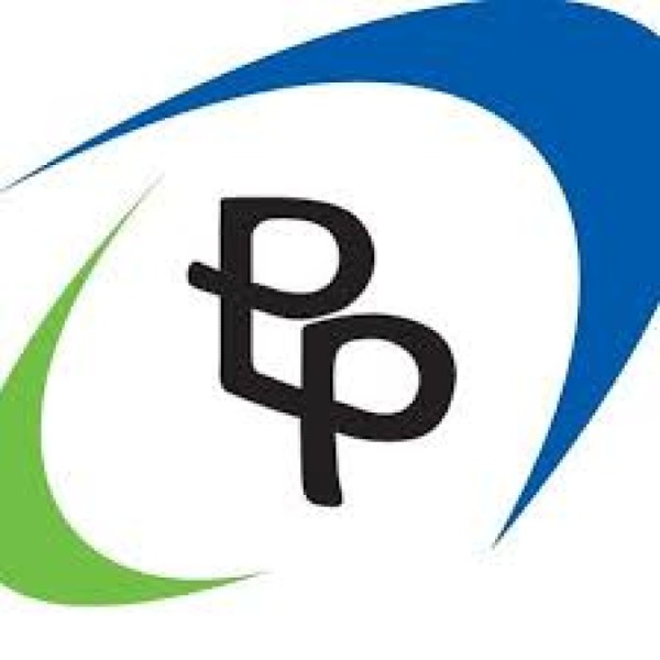 PT. Parit Padang Global